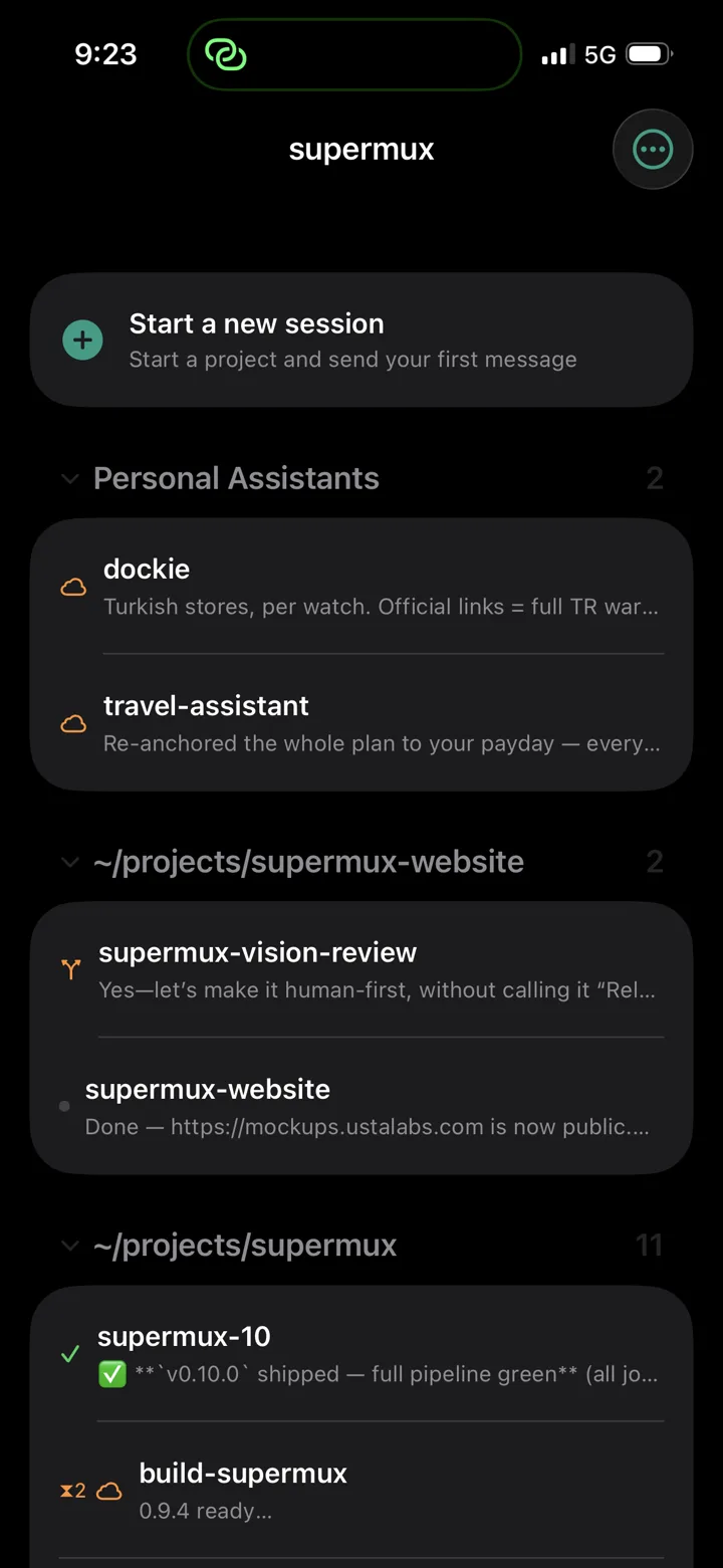The supermux iOS app showing live agent sessions grouped by project